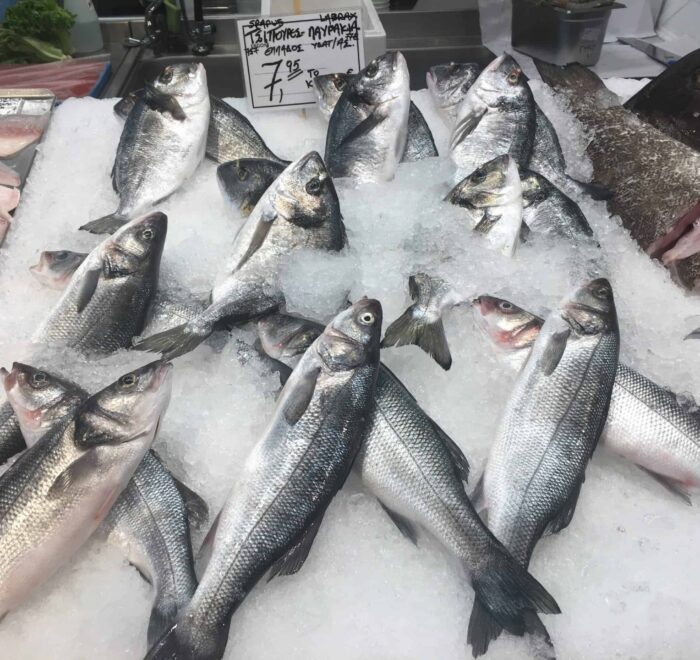 fish-market food pilgrimage tour