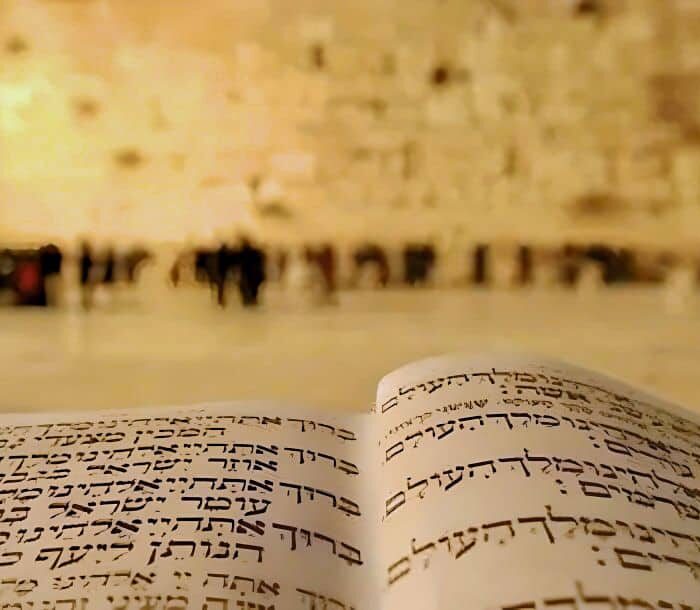 Torah at western wall jerusalem holy land pilgrimage