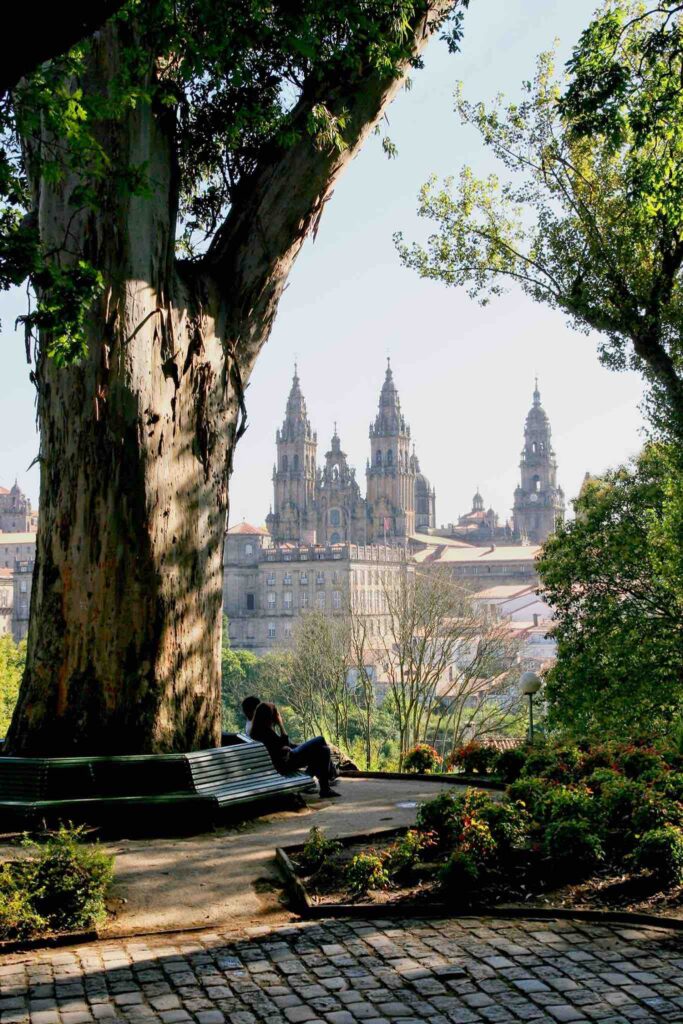 cathedral santiago spain with tree