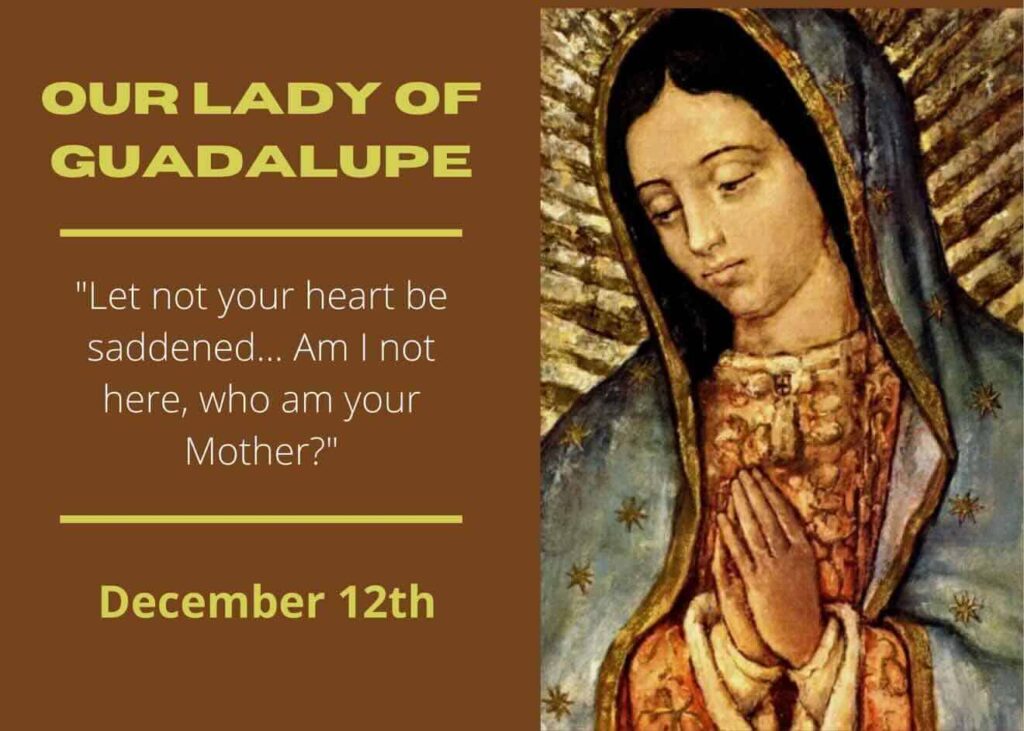 guadalupe feast day
