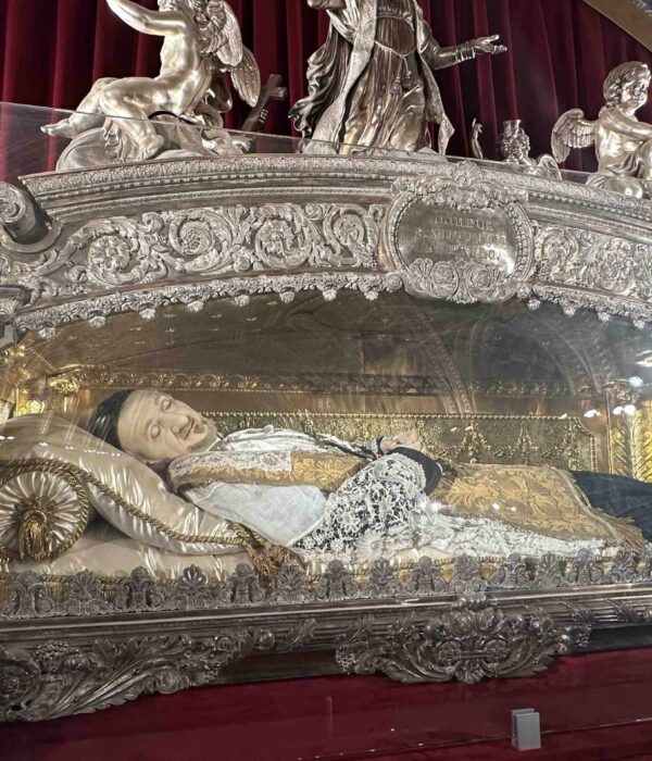 relics st. vincent de paul france pilgrimage tour