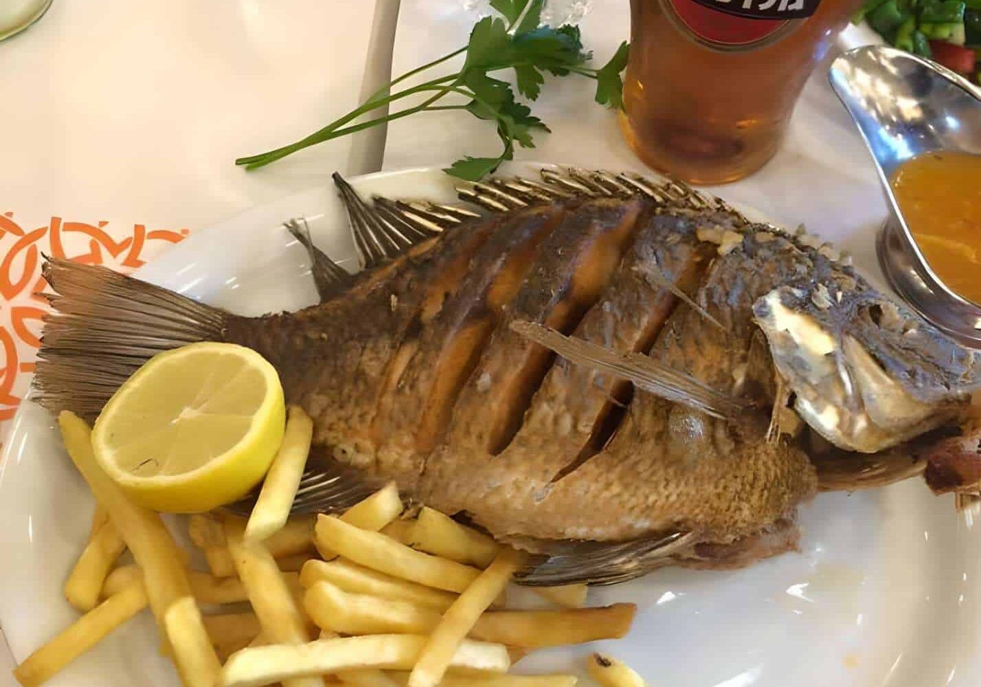 Saint Peter's Fish Holy Land Pilgrimage