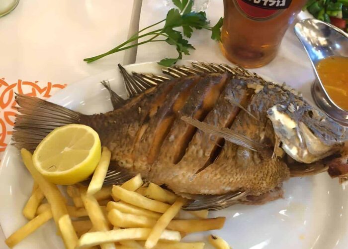 Saint Peter's Fish Holy Land Pilgrimage