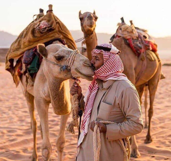 kissing a camel on holy land jordan pilgrimage tour
