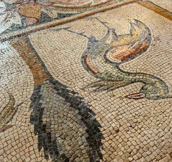 Madaba Mosaic Jordan holy land pilgrimage tour