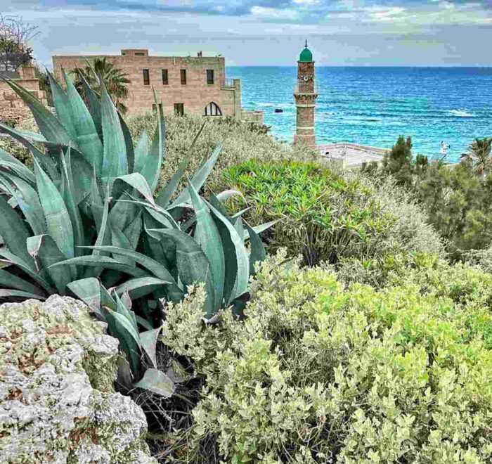 old jaffa port sea holy land jordan pilgrimage tour
