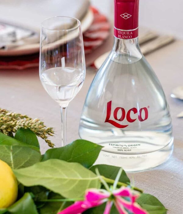 loco tequila mexico pilgrimage tour