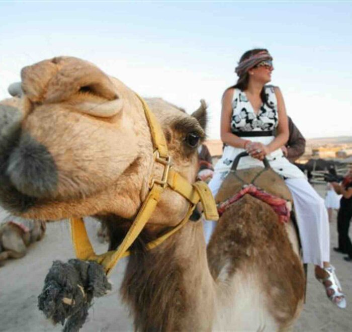 camel test drive holy land pilgrimage tour