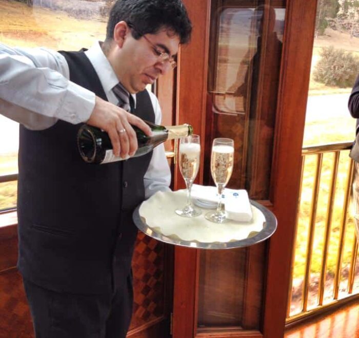 champagne bingham train