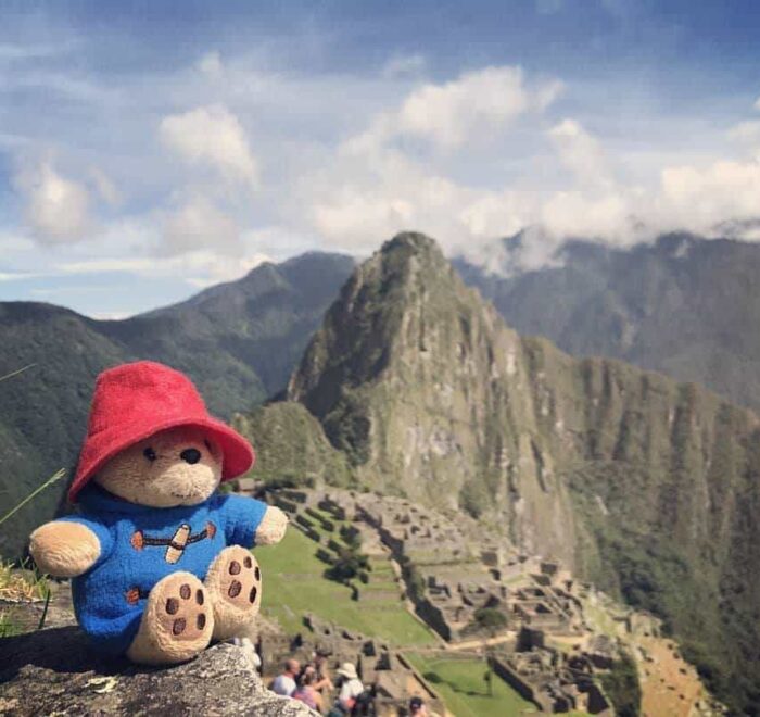 paddington bear in peru pilgrimage tour