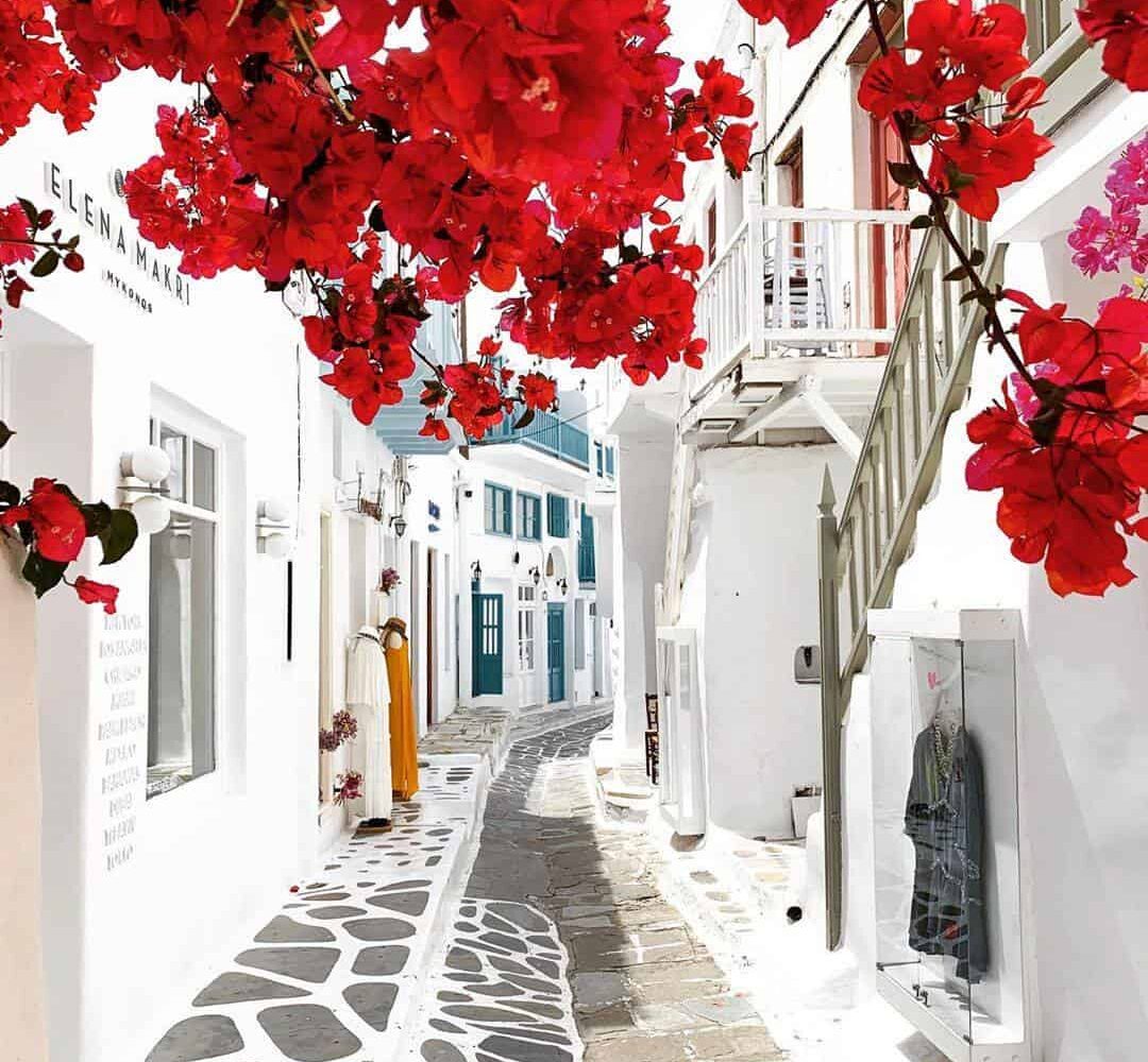 mykonos street flowers pilgrimage