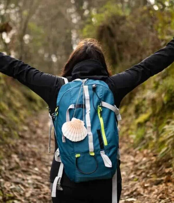 camino pilgrim walking tour