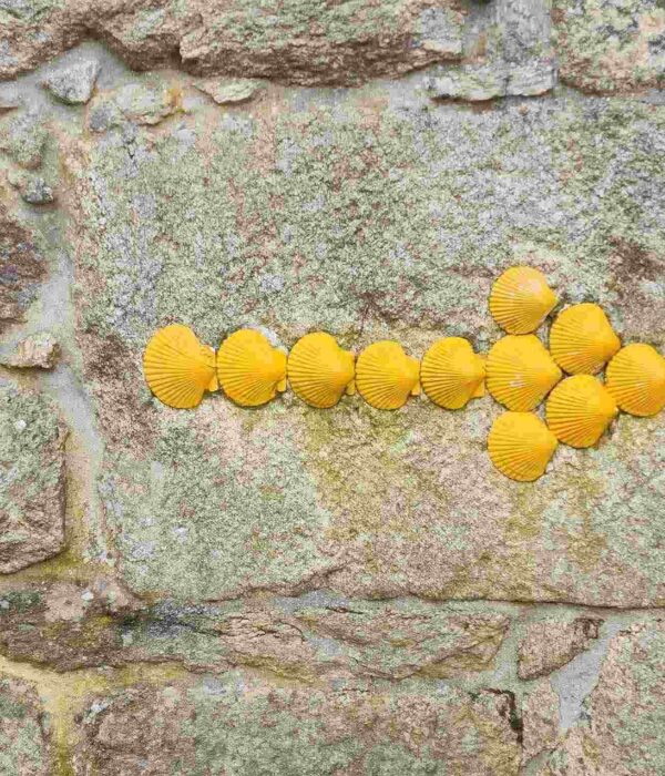 Camino shell pointer pilgrimagge