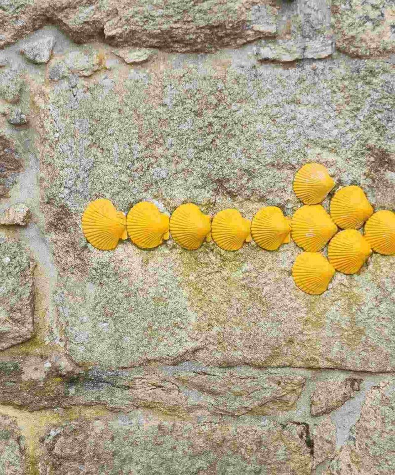 Camino shell pointer pilgrimagge