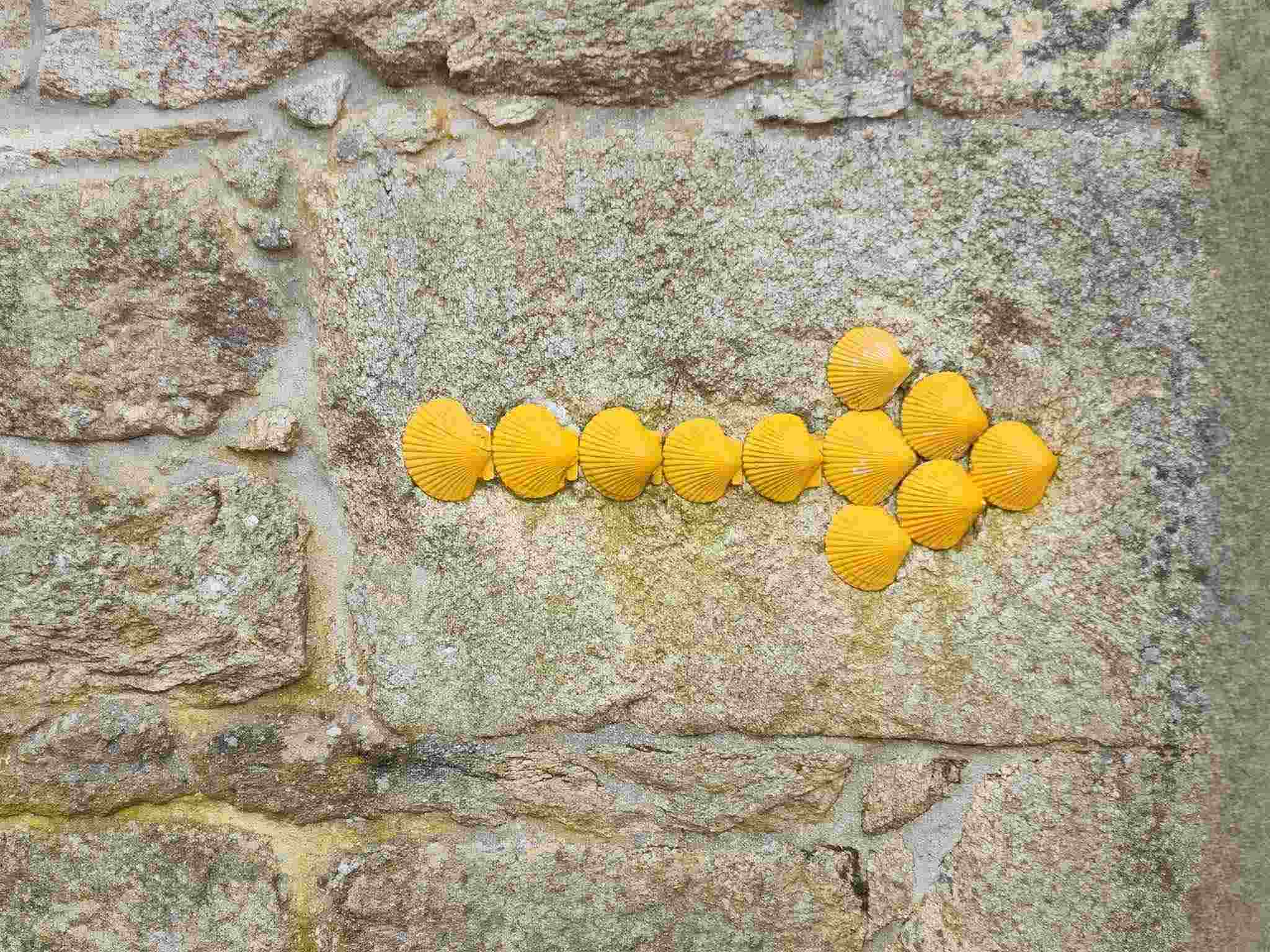 Camino shell pointer pilgrimagge